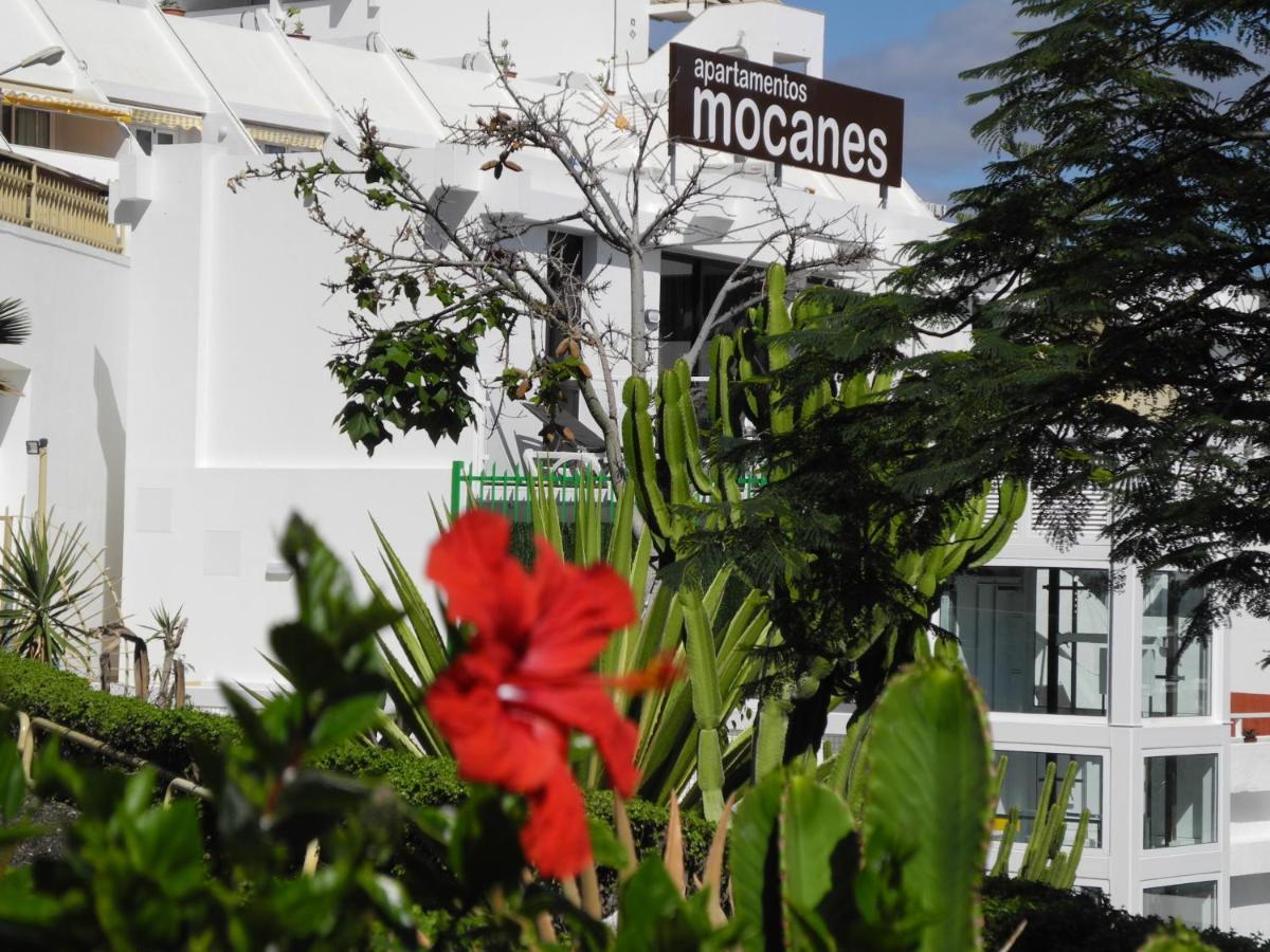 Apartamentos Los Mocanes Puerto Rico  Buitenkant foto